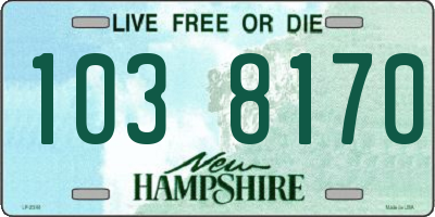 NH license plate 1038170