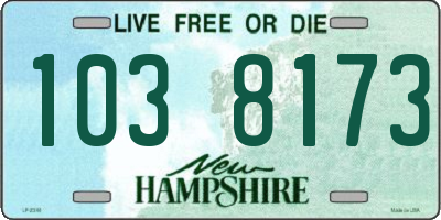 NH license plate 1038173