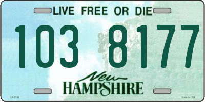 NH license plate 1038177