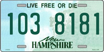 NH license plate 1038181