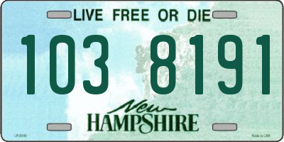 NH license plate 1038191