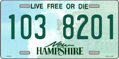 NH license plate 1038201