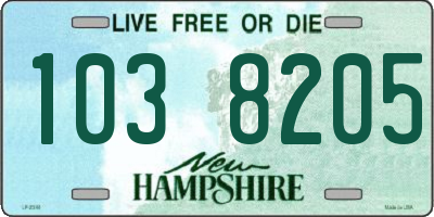 NH license plate 1038205