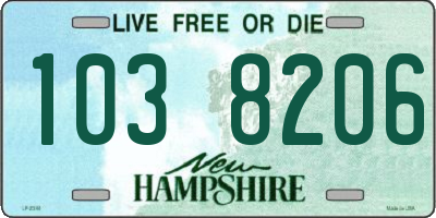 NH license plate 1038206
