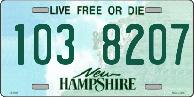 NH license plate 1038207