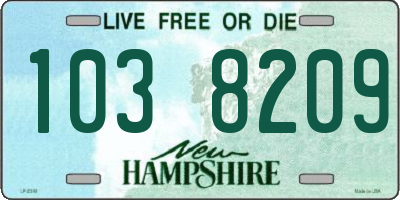 NH license plate 1038209