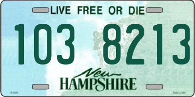 NH license plate 1038213