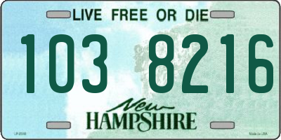 NH license plate 1038216