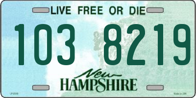 NH license plate 1038219