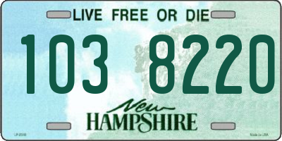 NH license plate 1038220