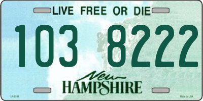 NH license plate 1038222