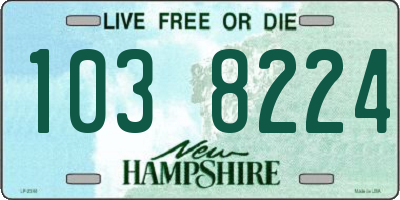 NH license plate 1038224