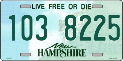 NH license plate 1038225