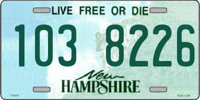 NH license plate 1038226