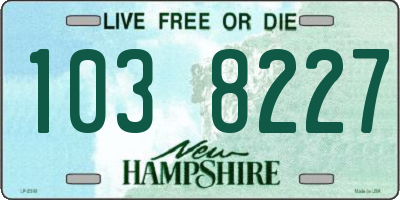 NH license plate 1038227