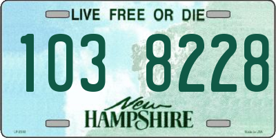 NH license plate 1038228