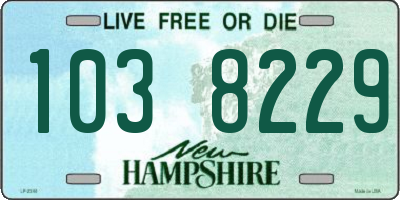 NH license plate 1038229
