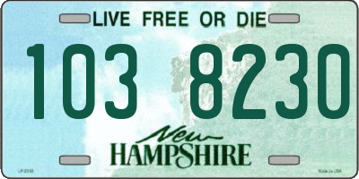 NH license plate 1038230