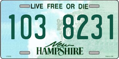 NH license plate 1038231