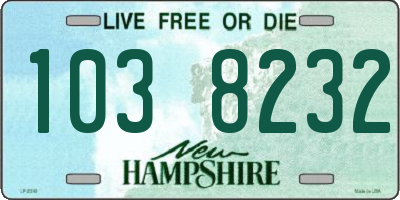NH license plate 1038232