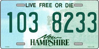 NH license plate 1038233