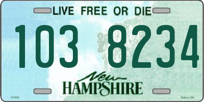 NH license plate 1038234