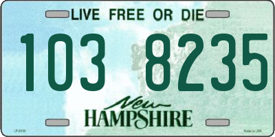 NH license plate 1038235