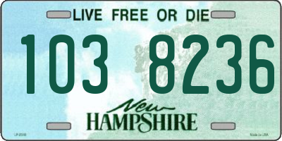 NH license plate 1038236
