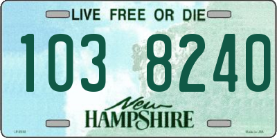 NH license plate 1038240