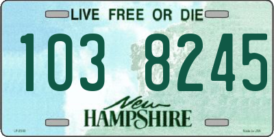 NH license plate 1038245