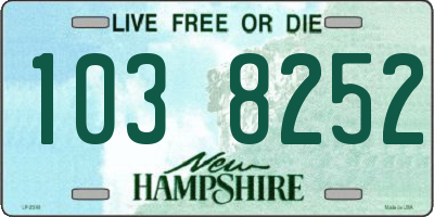 NH license plate 1038252