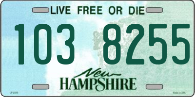 NH license plate 1038255