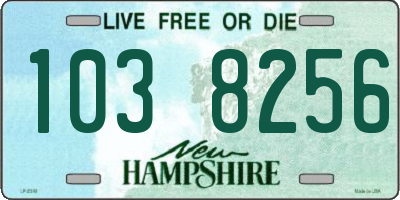 NH license plate 1038256