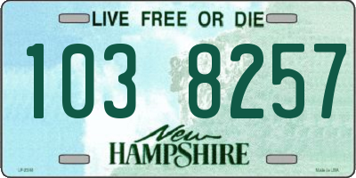NH license plate 1038257