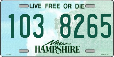 NH license plate 1038265