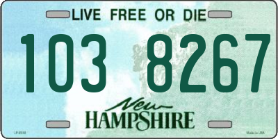 NH license plate 1038267