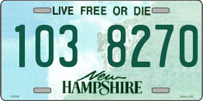 NH license plate 1038270