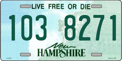 NH license plate 1038271