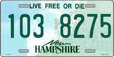 NH license plate 1038275