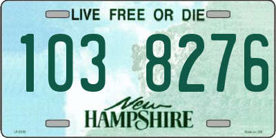 NH license plate 1038276