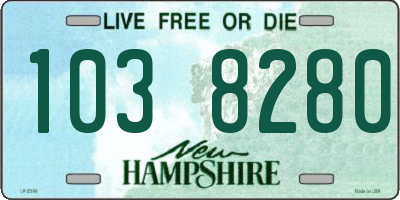 NH license plate 1038280