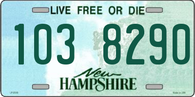 NH license plate 1038290