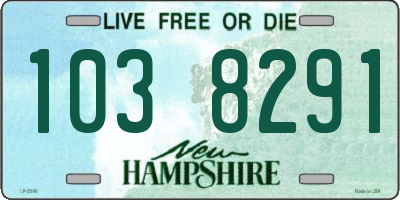 NH license plate 1038291