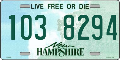 NH license plate 1038294