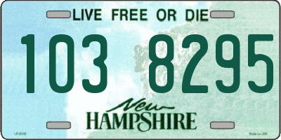 NH license plate 1038295