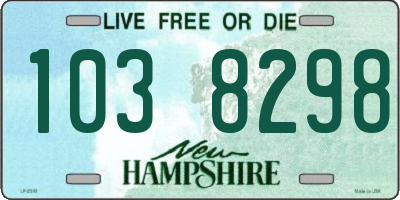 NH license plate 1038298