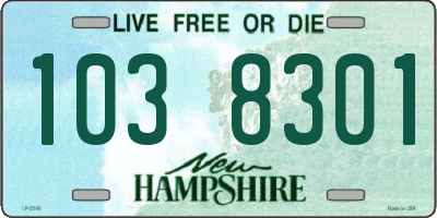 NH license plate 1038301