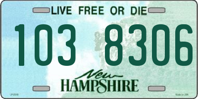 NH license plate 1038306