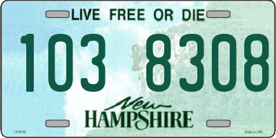 NH license plate 1038308