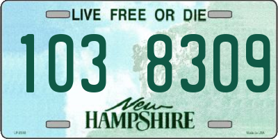 NH license plate 1038309